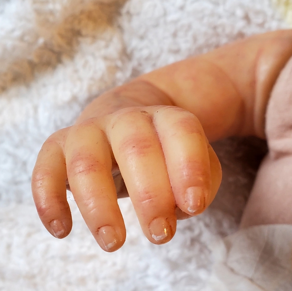 🔴🔴 SOLD 🔴🔴 - Picture 10 of 15